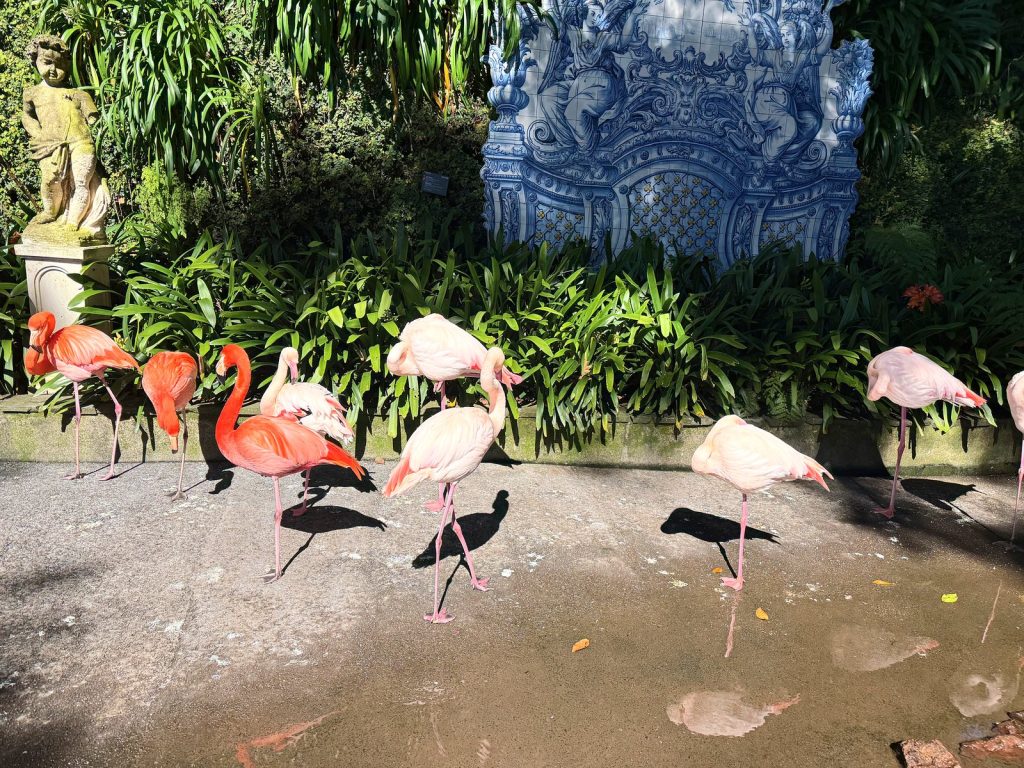 A group of pink flamingos on a small stone square in front of a blue-and-white azulejo tile panel surrounded by greenery