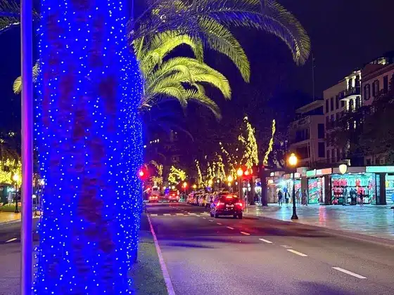 Palm trees wrapped in blue lights along an avenue in Funchal at night