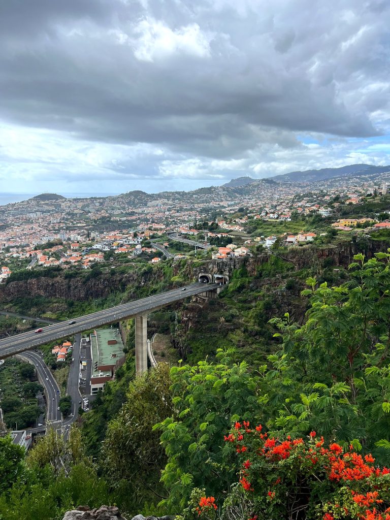 The slopes of Funchal with houses, a viaduct over a green valley and orange flowers in the foreground, under a cloudy sky