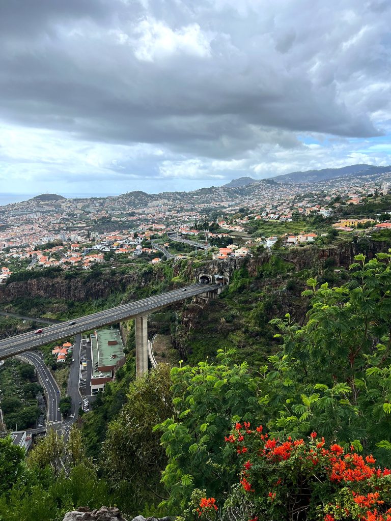 View from the Botanical Garden over Funchal and the expressway viaduct