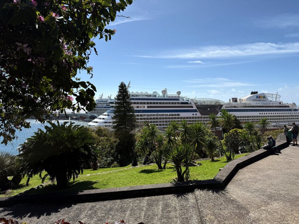 A path in Santa Catarina park with palms and a lawn, behind it two large cruise ships moored in Funchal harbour