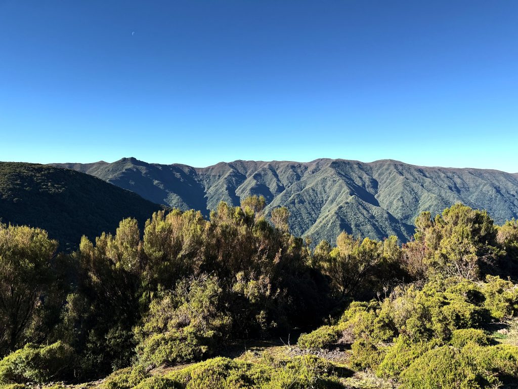 Panorama of green mountain ridges seen from the Paul da Serra plateau under a cloudless sky