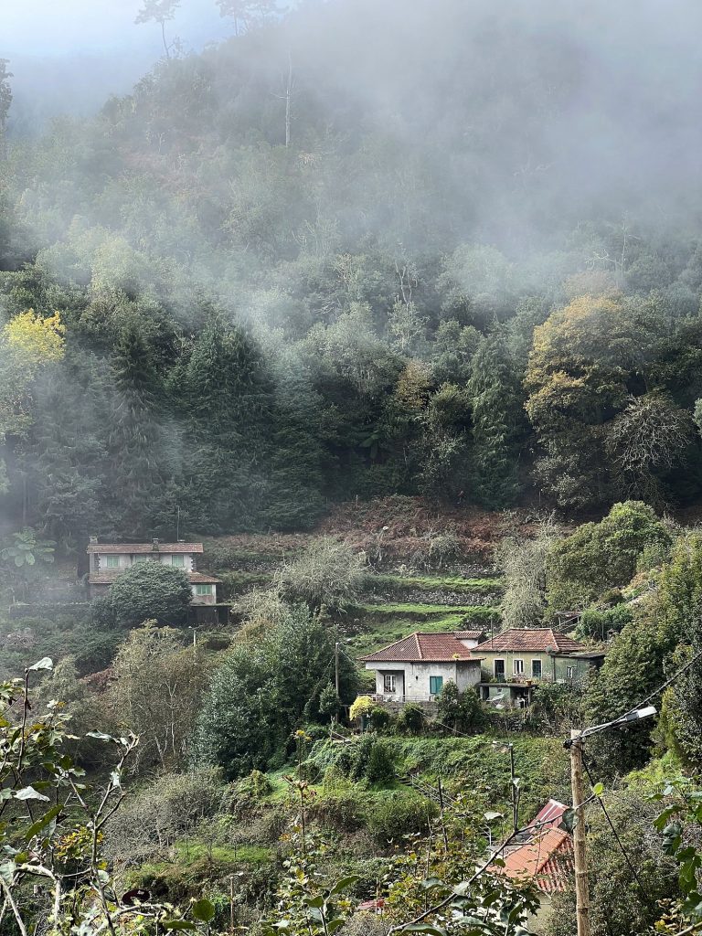 A valley with terraces and houses below a wooded slope wrapped in mist