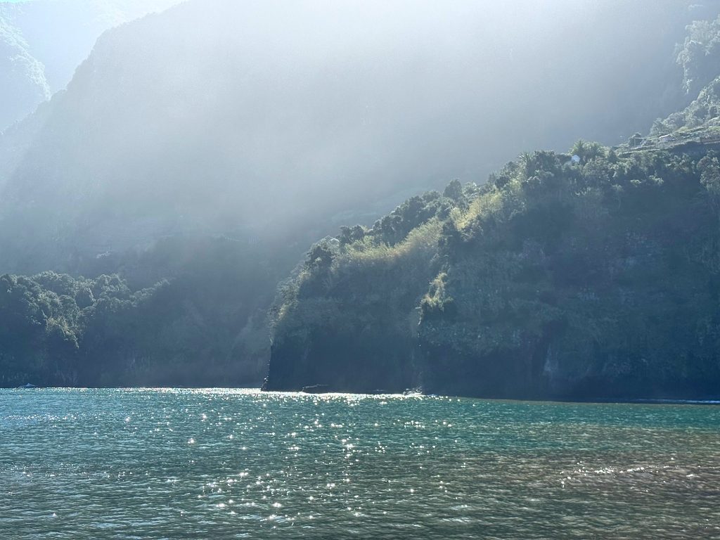 Mist and bright sun over wooded cliffs, with the shimmering ocean below