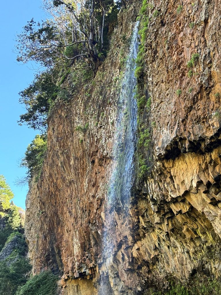 A thin waterfall running down rust-coloured rock with basalt columns, trees and blue sky above
