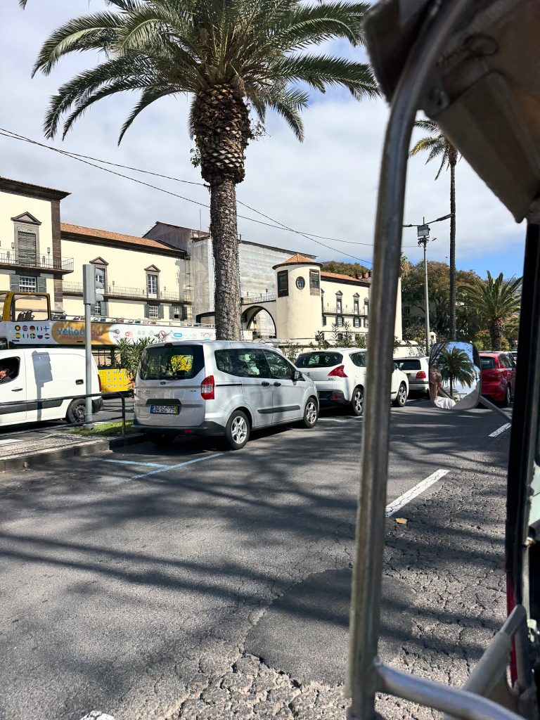 View from inside a tuk-tuk of a junction and palm trees in central Funchal