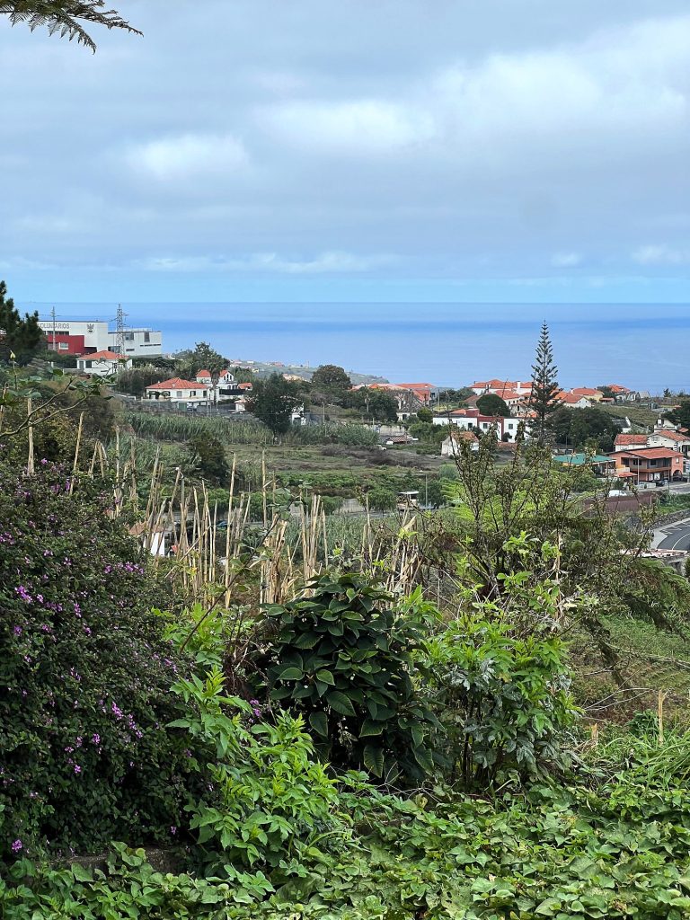View over fields, red-roofed houses and the ocean under a cloudy sky, with shrubs in the foreground