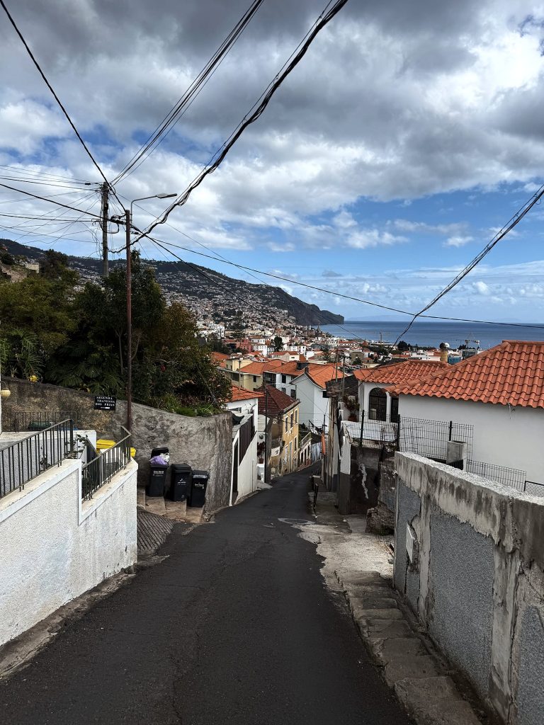 A steep, narrow lane between white walls above Funchal, below it houses with orange roofs, the ocean and the green cliffs of the west coast