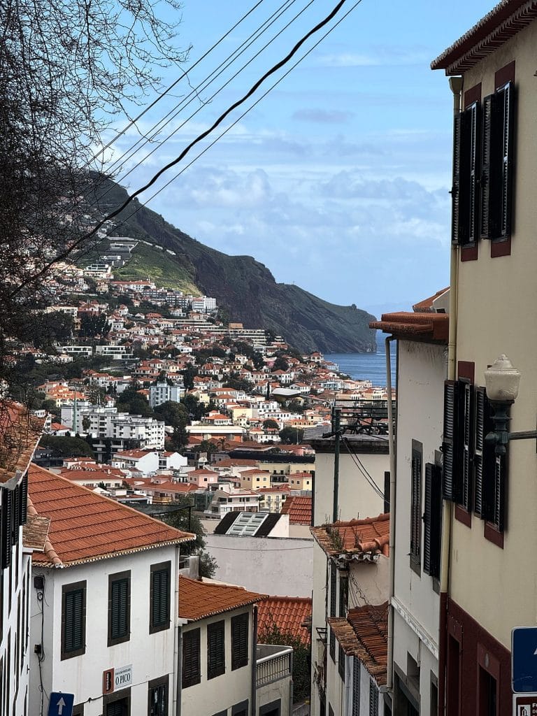 A steep street running downhill between town houses with green shutters, below it Funchal’s rooftops, a green cliff and the ocean