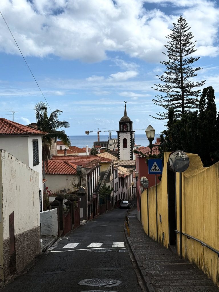 A street running downhill between houses with a yellow wall, at the end a white church tower and a tall araucaria
