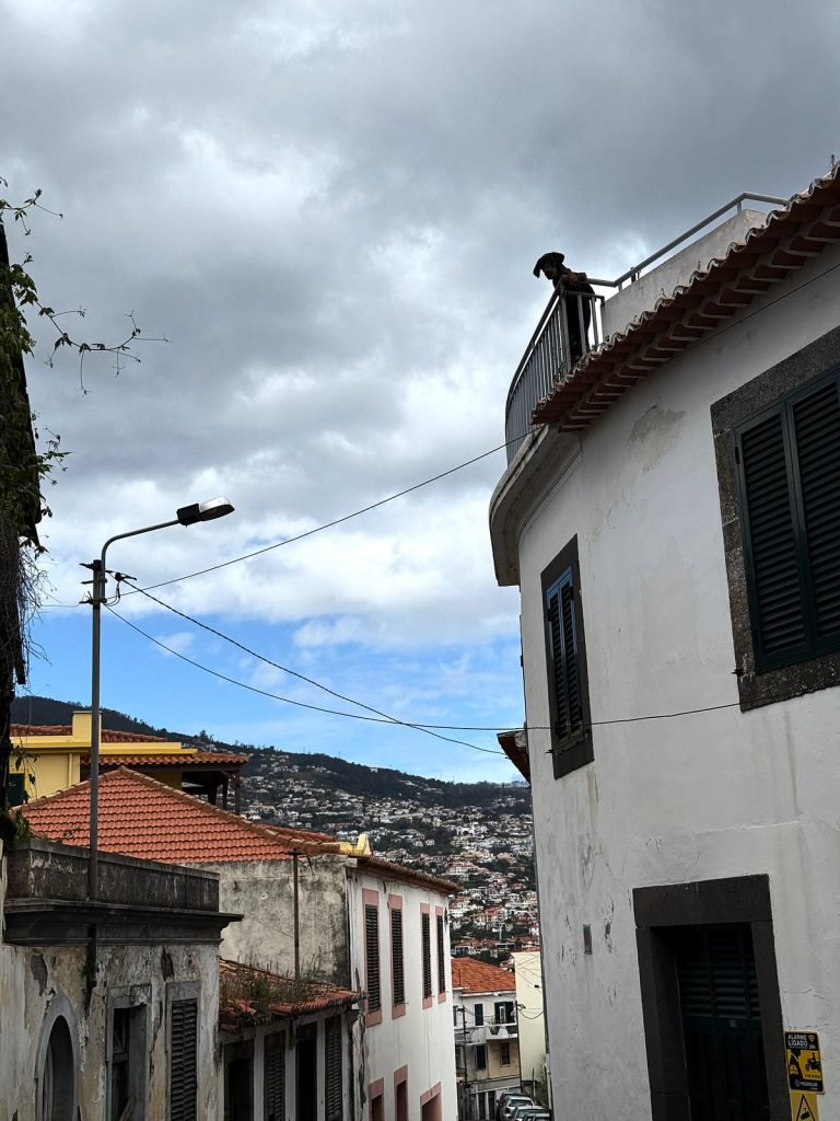 A white house with green shutters and a street lamp on a steep lane, the built-up slopes of Funchal behind