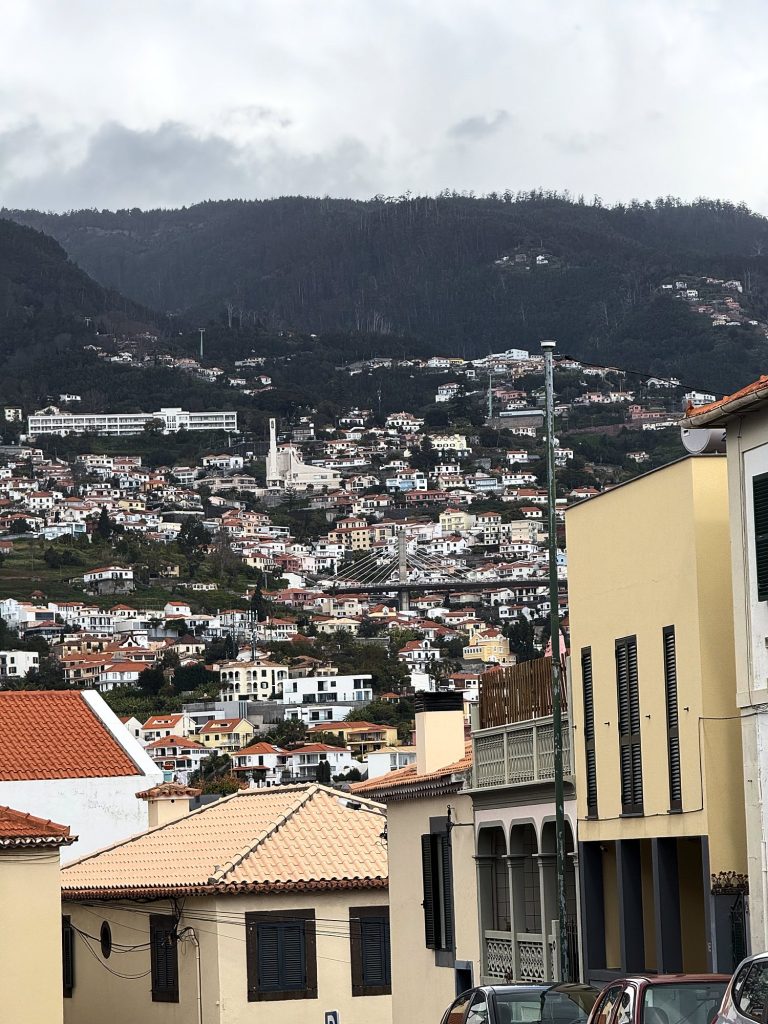 The slopes of Funchal below wooded mountains, white houses and a white church on the hillside, in the foreground yellow town houses and a roof with pale tiles