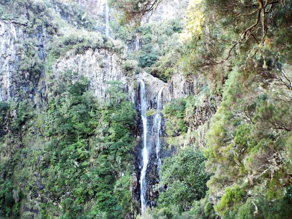 The Risco waterfall pouring in several streams down a sheer, forested rock face