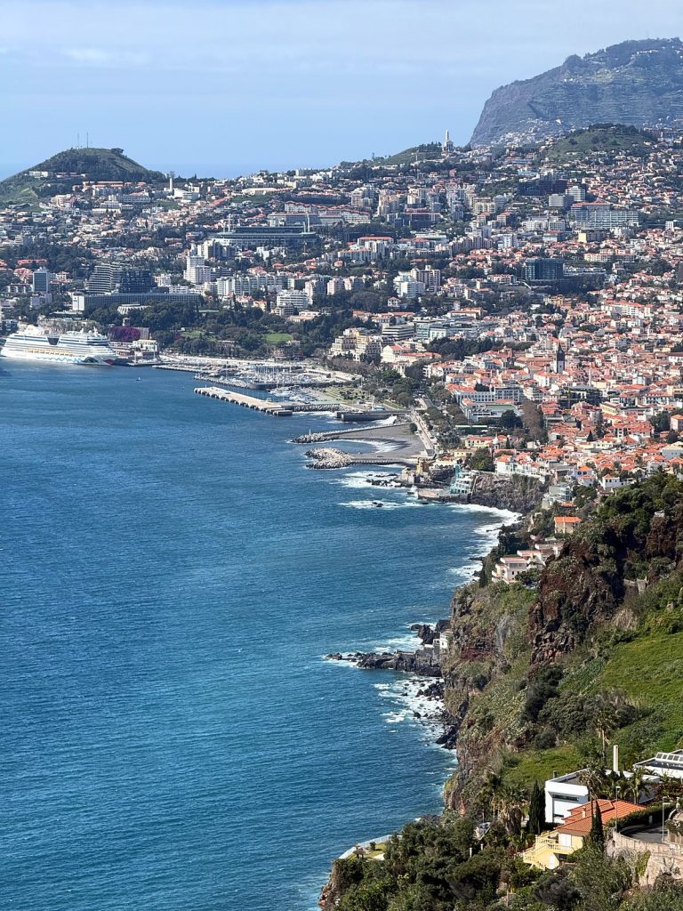 Funchal bay with the port, marina and a cruise ship seen from a high cliff east of the city, with the Cabo Girão cliff in the distance