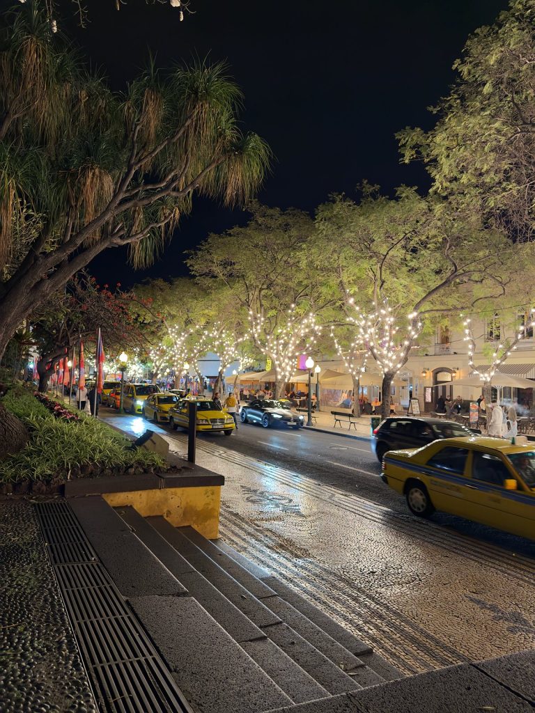 Avenida Arriaga at night: trees strung with white lights and yellow taxis on the road